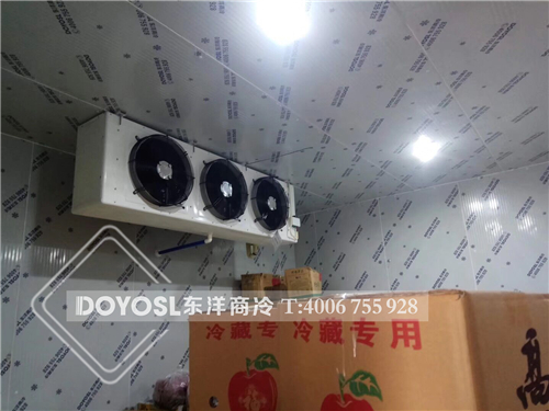 廣州水果富果佳水果保鮮冷庫工程案列，冷庫，冷庫造價表 ，冷庫建造 ，冷庫除濕機， 冷庫安裝，2019冷庫補貼政策，500立方冷庫造價表 ，60立方冷庫用幾p外機，100平方冷庫造價， 農村冷庫建造方法， 冷庫工程報價表，教你如何經營冷庫生意， 動遷冷庫按多少錢一平 ，冷庫前景及利潤